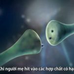 Một số thông tin và sự tác động của vấn đề ô nhiễm không khí